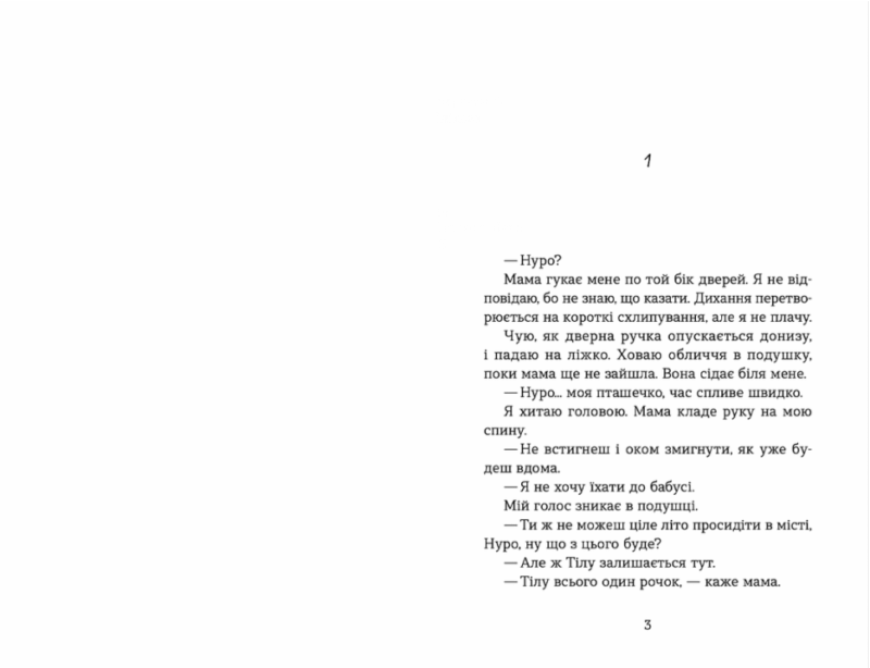 Літо, коли все трапилось. Ібен Акерлі (Укр) ВСЛ (9789664481738) (499237) - Зображення 2