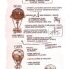 Зроблено в Безодні. Том 1. Акіхіто Цікуші (Укр) Nasha idea (9786178109493) (500197) - Зображення 4
