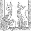 Розфарбовуємо разом. Велика книга розмальовок (Укр) Ранок (9789667514747) (496840) - Зображення 2