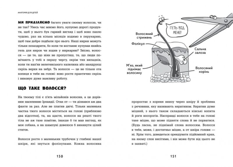 Анатомія для дітей. Адам Кей (Укр) Час майстрів (9789669154101) (501858) - Зображення 2
