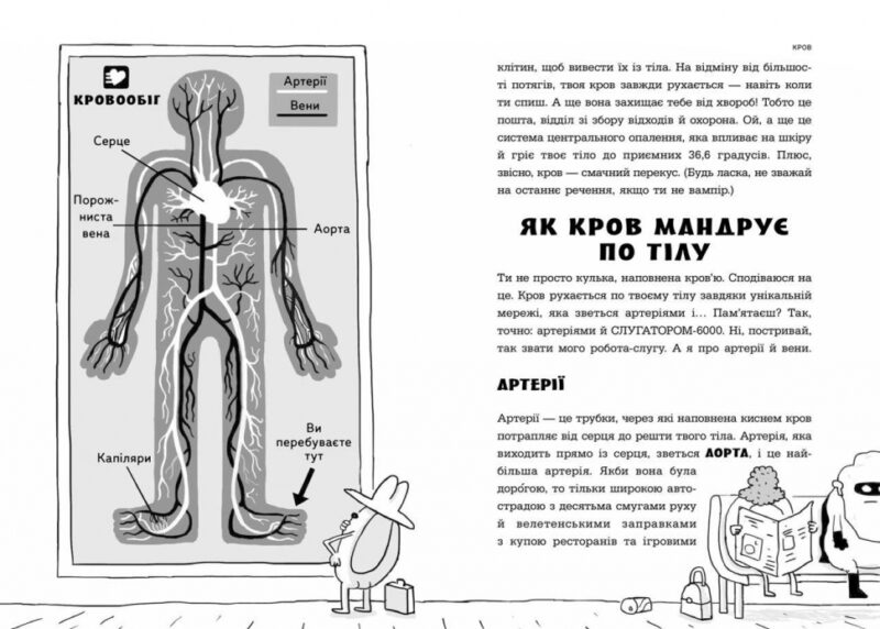 Анатомія для дітей. Адам Кей (Укр) Час майстрів (9789669154101) (501858) - Зображення 4