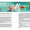 Казочки-п’ятихвилинки на нiч про звiрят. Ланг А. (Укр) Vivat (9786171700208) (501793) - Зображення 6