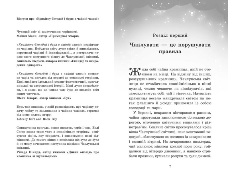 Крихітка Єстедей і чайник хаосу. Книга 2. Енді Саґар (Укр) Ранок Ч1702002У (9786170981240) (501640) - Зображення 5