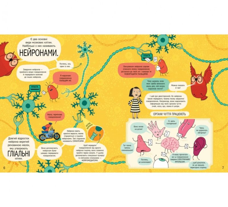 Книжка про мозок і те, як він працює. Бетіна Іп, Мія Нільссон (Укр) Книголав (9786178012243) (505108) - Зображення 4