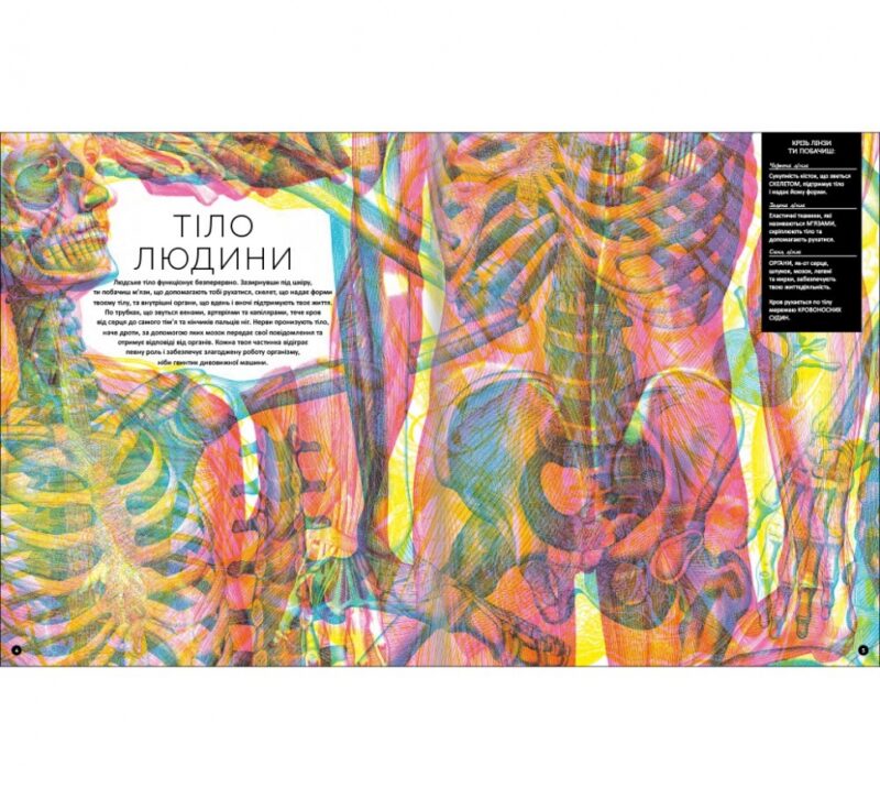 Прихований світ людського тіла. Кейт Дейвіс (Укр) Книголав (9786177820504) (505148) - Зображення 2