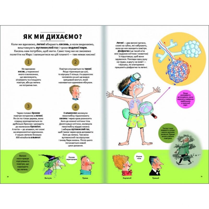 Тіло людини зовні. Крістіна Джунєн (Укр) Книголав (9786177820603) (505166) - Зображення 4