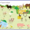 Мій Перший словничок. Природа. Беті Г. (Укр) Артбукс (9786177688661) (506465) - Зображення 4