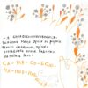 Де Ойра? Стум Т. (Укр) Vivat (9786176909453) (506882) - Зображення 5