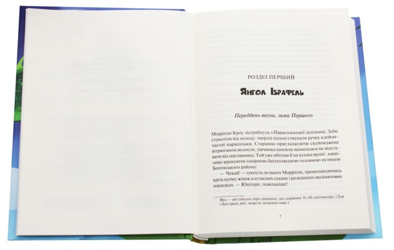 Дивосміт Покликання Морріґан Кроу. Таунсенд Д. (Укр) Vivat (9789669820839) (506885) - Зображення 2