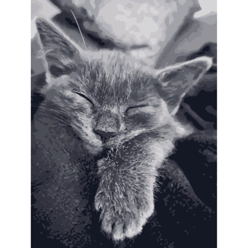 Котяча подяка. Картина за номерами. 40х50 см. (Укр) ArtCraft (2000003011612) (498883)