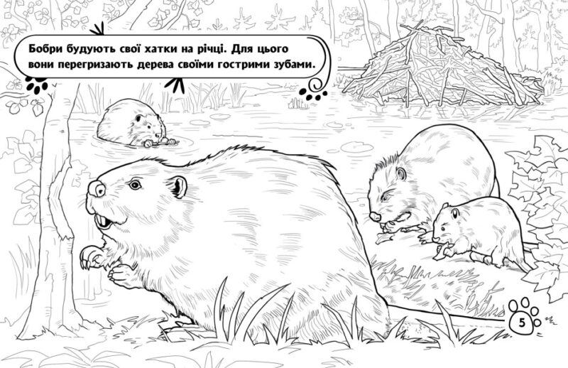 Тварини в лісі. Розмальовка. Сидоренко О.І. (Укр) Ранок (9789667515102) (503964) - Зображення 2
