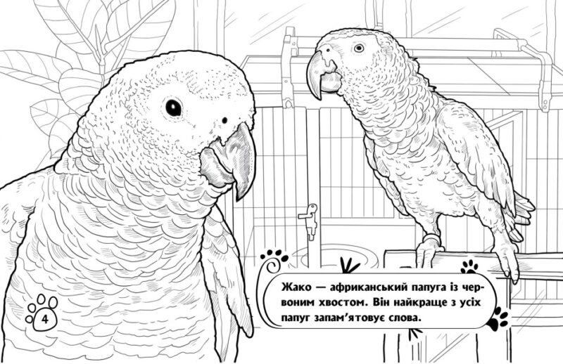 Тварини в оселі. Розмальовка. Сидоренко О.І. (Укр) Ранок (9789667515072) (503988) - Зображення 2