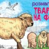 Тварини на фермі. Розмальовка. Сидоренко О.І. (Укр) Ранок (9789667515096) (503987)