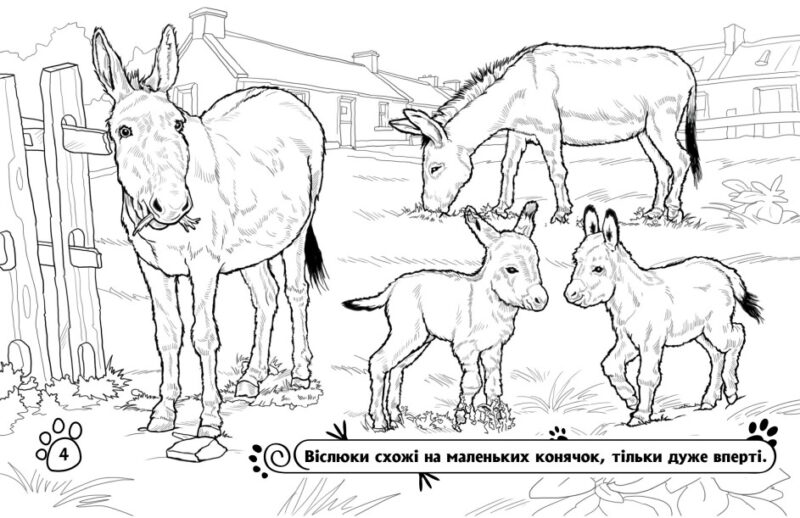 Тварини на фермі. Розмальовка. Сидоренко О.І. (Укр) Ранок (9789667515096) (503987) - Зображення 2