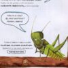Шафа під сливою. Штефан А. (Укр) Vivat (9789669421111) (507013) - Зображення 9