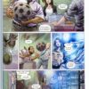 Флеш. Книга 4. Навспак. Манапул Ф. (Укр) Рідна Мова (9789669173775) (507560) - Зображення 11