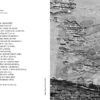 Життя Марії. Жадан С. (Укр) Meridian Czernowitz (9786178024260) (505724) - Зображення 3
