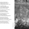 Життя Марії. Жадан С. (Укр) Meridian Czernowitz (9786178024260) (505724) - Зображення 5