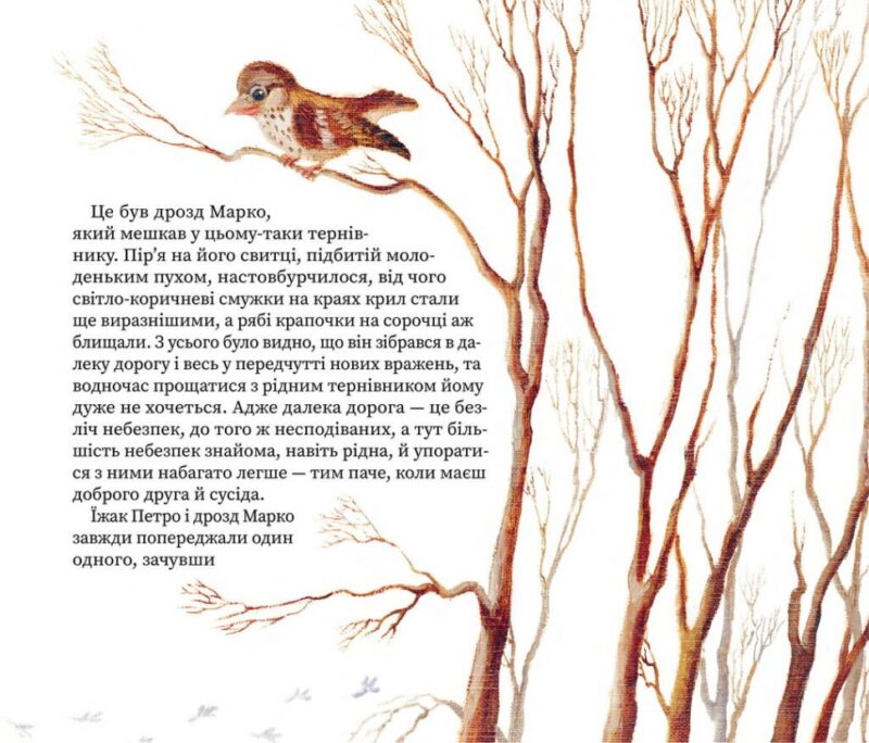 Третій сніг. Андрусяк І. (Укр) Наш формат (9786177866526) (506364) - Зображення 9
