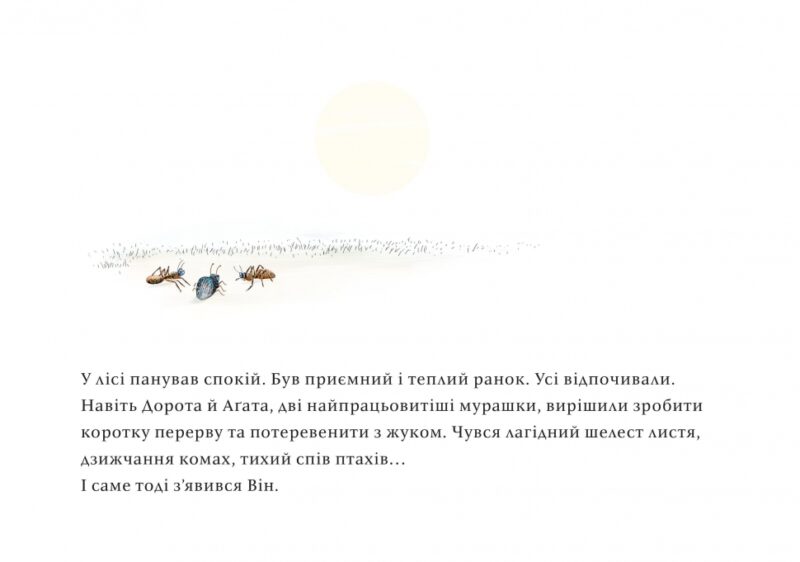 Чужий у лісі. Данута Парляк (Укр) Чорні вівці (9786176142539) (505812) - Зображення 2