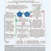 ПДР 2024 з коментарями (Укр) Моноліт (9786175773345) (510695) - Зображення 7