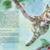 Коти. Такі, як ти. Козиренко М.М., Птиця Є. (Укр) Ранок (9786170985460) (504777) - Зображення 2