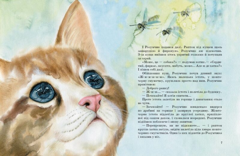Коти. Такі, як ти. Козиренко М.М., Птиця Є. (Укр) Ранок (9786170985460) (504777) - Зображення 3