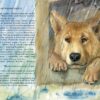 Коти. Такі, як ти. Козиренко М.М., Птиця Є. (Укр) Ранок (9786170985460) (504777) - Зображення 6