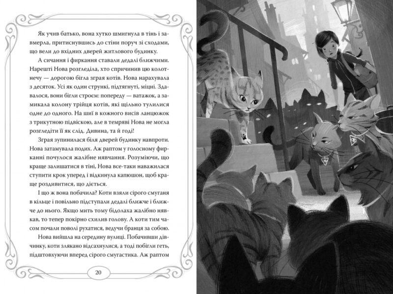 Опівнічні коти. Школа фелідіксів. Книга 1. Барбара Лабан (Укр) Рідна мова (9786178373276) (508728) - Зображення 3