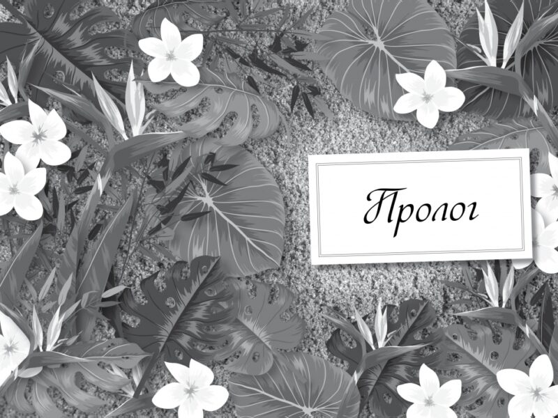 Агата Містері. Примарний острів. Спецвипуск. Сер Стів Стівенсон (Укр) Рідна мова (9786178248475) (508627) - Зображення 4