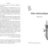 Valse melancolique. Вибрані твори. Ольга Кобилянська (Укр) Рідна мова (9786178248741) (508645) - Зображення 2