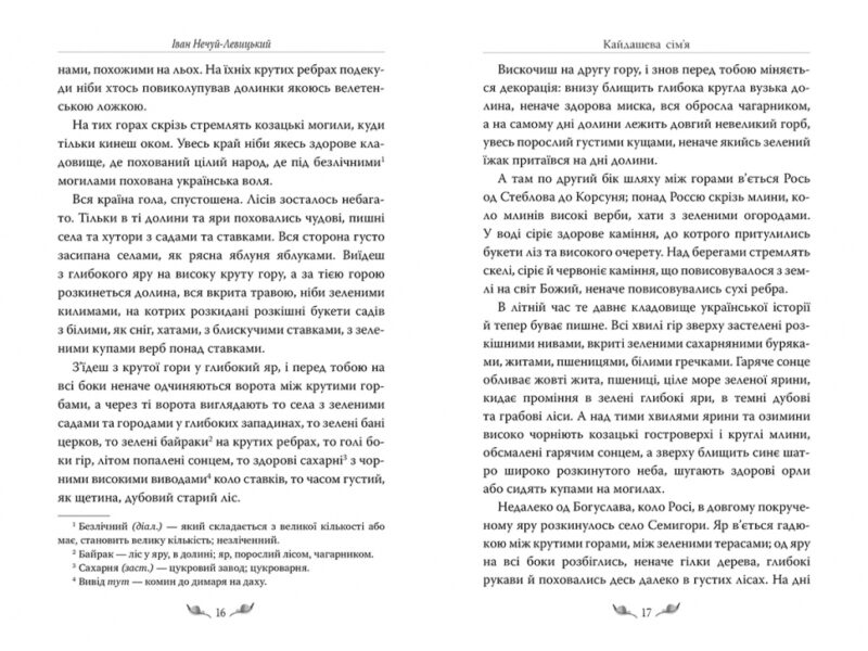 Кайдашева сім’я. Іван Нечуй-Левицький (Укр) Рідна мова (9786178248765) (508648) - Зображення 3