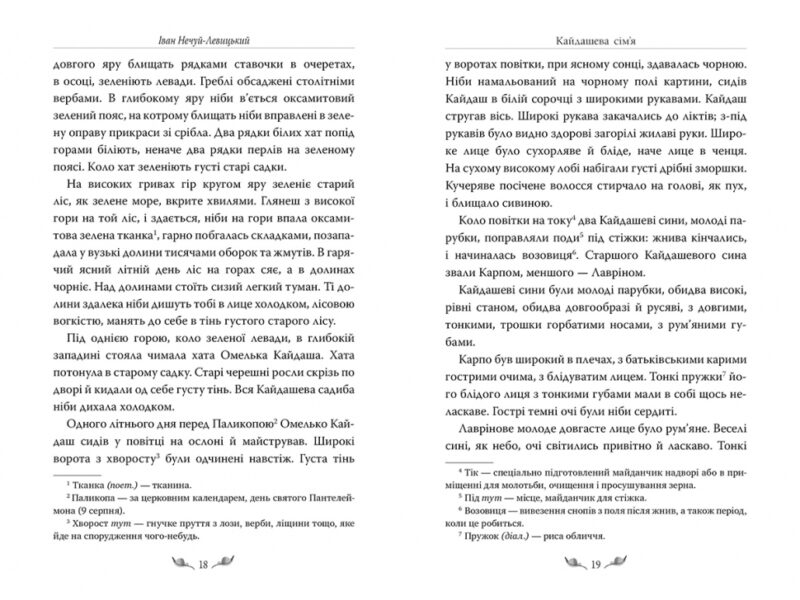Кайдашева сім’я. Іван Нечуй-Левицький (Укр) Рідна мова (9786178248765) (508648) - Зображення 4