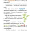 Джеронімо Стілтон. Острів примарного скарбу. Книга 3. Джеронімо Стілтон (Укр) Рідна мова (9789669176493) (508656) - Зображення 4