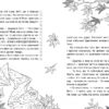 Оповідки Зубної Феї. Шалені перегони. Книга 2. Наконечна Т. (Укр) Рідна Мова (9786178248185) (508737) - Зображення 4