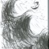 Як приручити дракона. Як стати піратом. Книга 2. Крессида Ковелл (Укр) Рідна Мова (9789669176370) (508776) - Зображення 10
