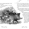 Ліс незвичайних тварин. Беннет Еллі (Укр) Ранок (9786170987013) (508985) - Зображення 3