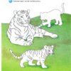 Тварини світу. Інтерактивна книжка. Чому? Чого? Навіщо? Штефан Ріхтер (Укр) Богдан (9789661084734) (509655) - Зображення 5