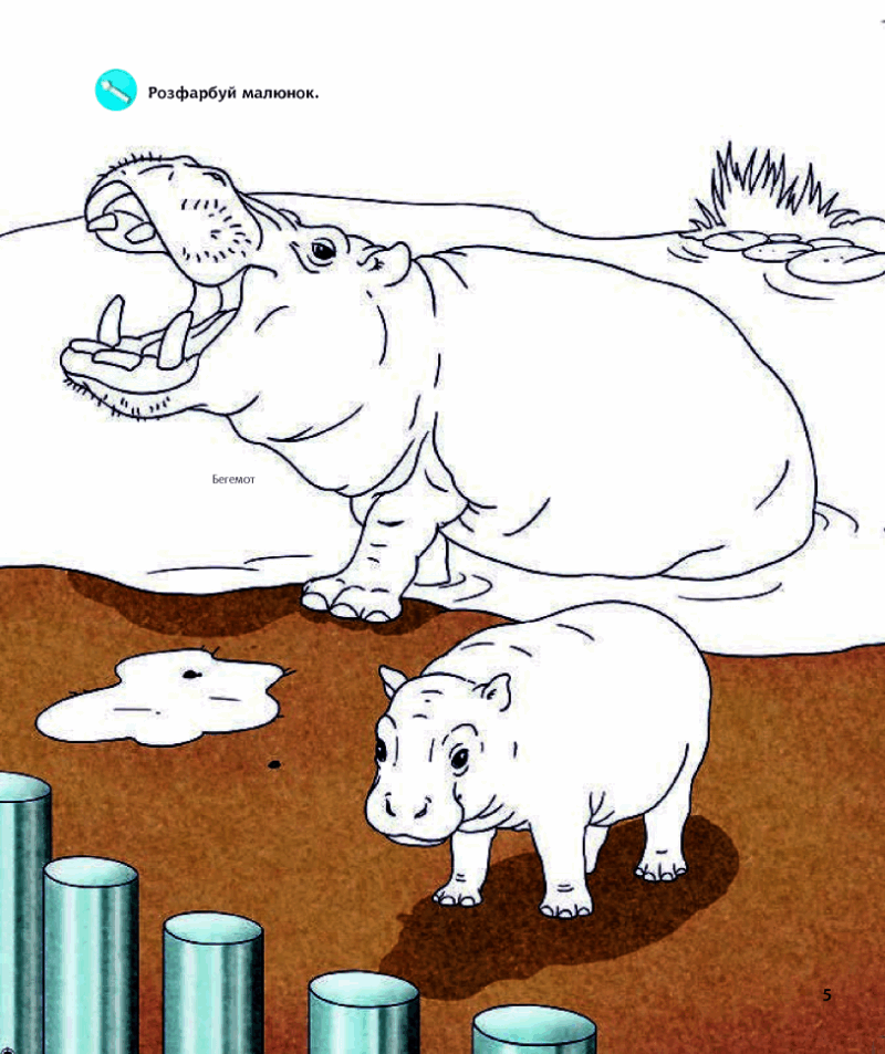 У зоопарку. Інтерактивна книжка. Чому? Чого? Навіщо? Штефан Ріхтер (Укр) Богдан (9789661059336) (509656) - Зображення 5