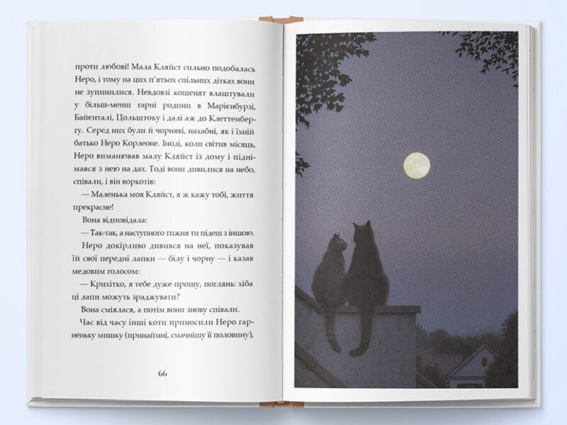 Неро Корлеоне. Історія одного кота. Ельке Хайденрайх (Укр) Nebo BookLab Publishing (9786177914098) (509744) - Зображення 3