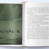 Неро Корлеоне. Історія одного кота. Ельке Хайденрайх (Укр) Nebo BookLab Publishing (9786177914098) (509744) - Зображення 4
