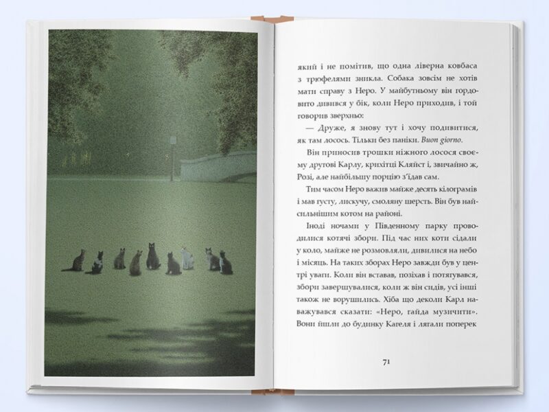 Неро Корлеоне. Історія одного кота. Ельке Хайденрайх (Укр) Nebo BookLab Publishing (9786177914098) (509744) - Зображення 4