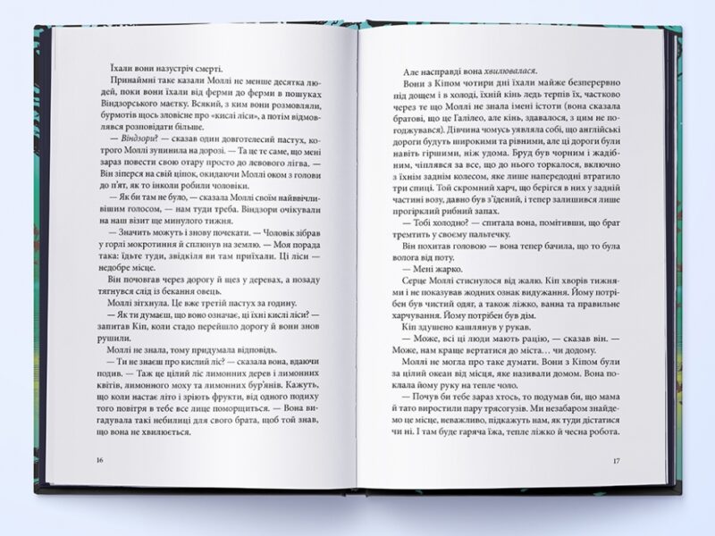 Нічний садівник. Джонатан Окс'є (Укр) Nebo BookLab Publishing (9786177914524) (509745) - Зображення 3