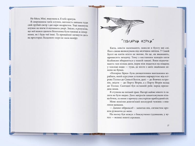 Пірати Льодового моря. Фріда Нільссон (Укр) Nebo BookLab Publishing (9786177537891) (509747) - Зображення 4