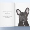 Собаки в мистецтві. Ангус Юланд, Кетра Вілсон (Укр) Nebo BookLab Publishing (9786177914579) (509750) - Зображення 4