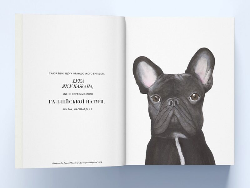 Собаки в мистецтві. Ангус Юланд, Кетра Вілсон (Укр) Nebo BookLab Publishing (9786177914579) (509750) - Зображення 4