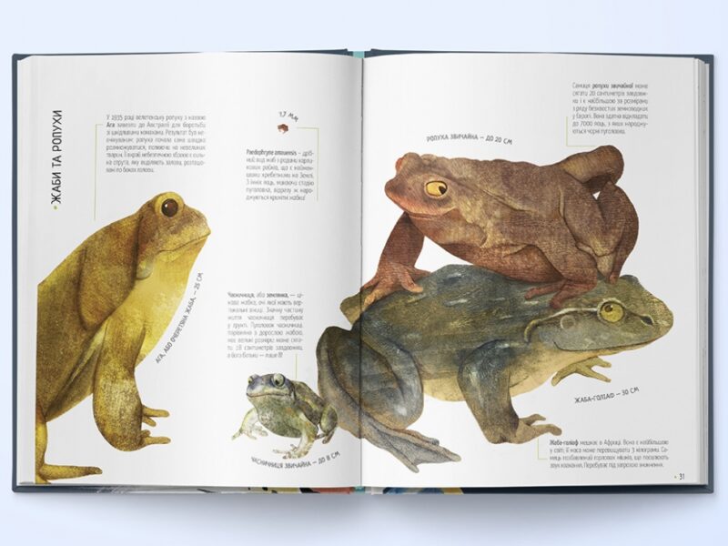 Тварини на всі 100%. Ріта Мабель Ск'яво (Укр) Nebo BookLab Publishing (9786177914043) (509764) - Зображення 3