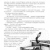 Казки для Елізи. Різдвяний песик. Гаврош О. (Укр) Богдан (9789661061223) (509170) - Зображення 10