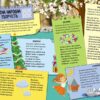 Чудова мова України. Маленькі українознавці. Казакіна О.М. (Укр) Кенгуру (9786170981578) (494999) - Зображення 2