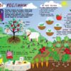 Таємне життя рослин. Коваль Н.М. (Укр) АРТ (9786170987303) (510802) - Зображення 5